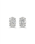 Oval Earrings